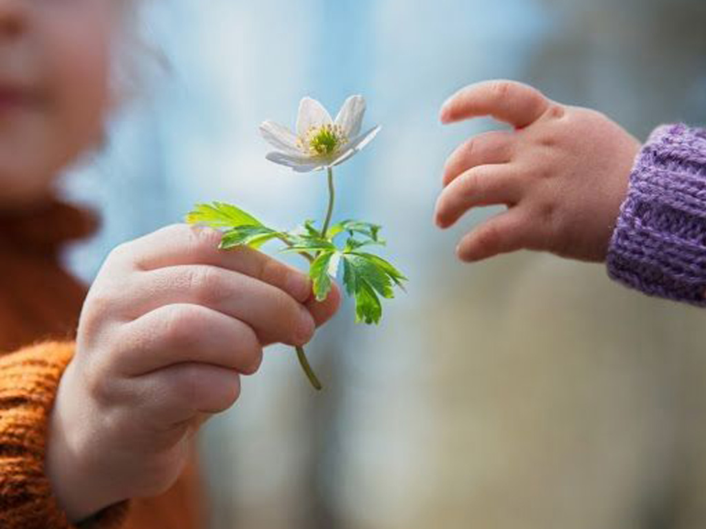 کاردمانی برای اوتیسم کلینیک توانبخشی رایا